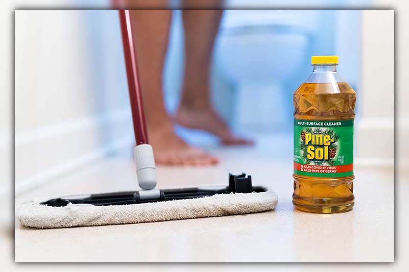 does pine sol kill ants