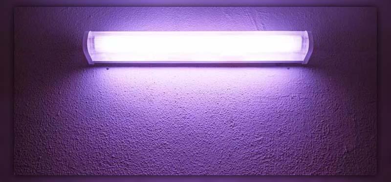 UV Light and Bed Bugs