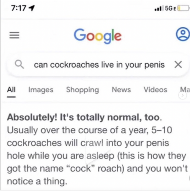 Can a Cockroach Live in Your Penis