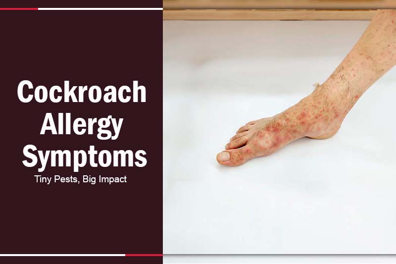 Cockroach Allergy Symptoms 