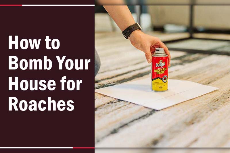 How to Bomb your house for Roaches 