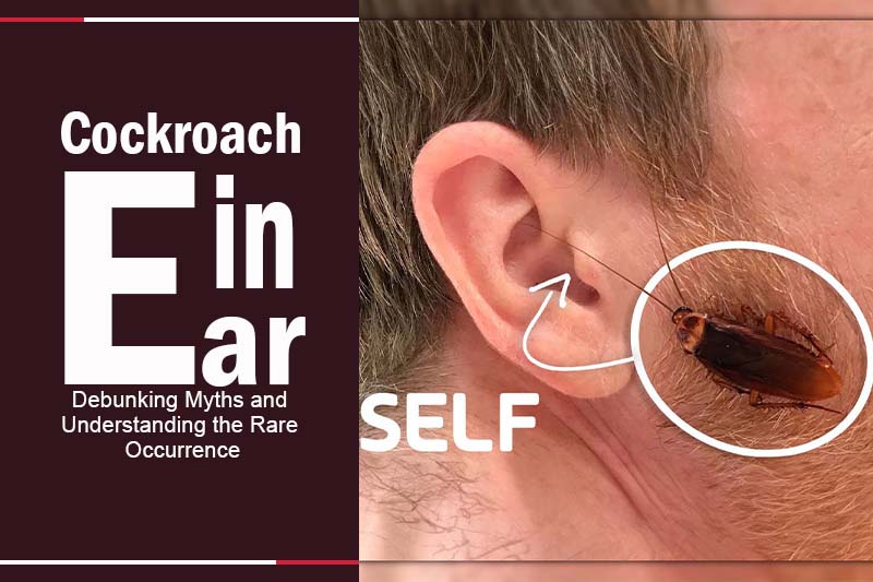 cockroach in ear 