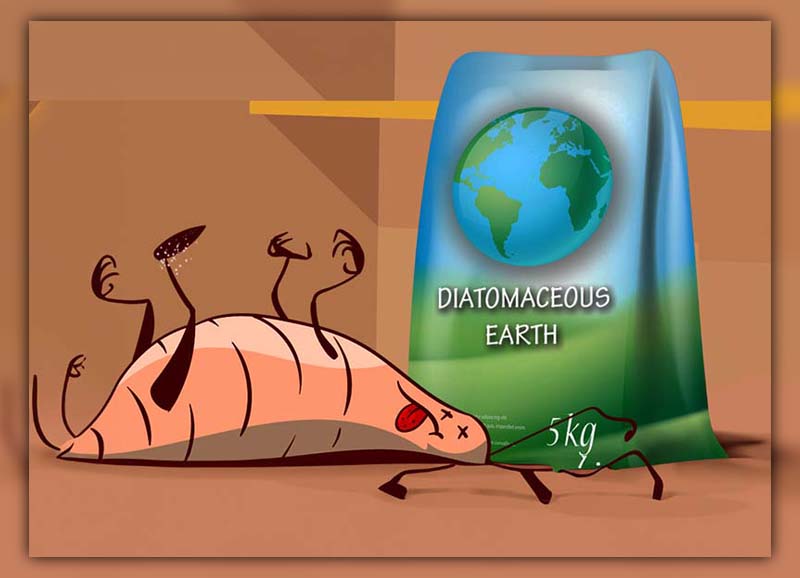 diatomaceous earth cockroach 