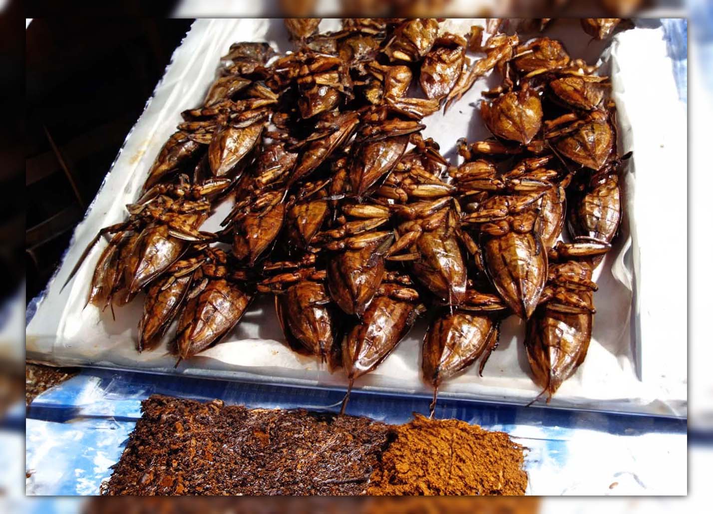 do people eat cockroach