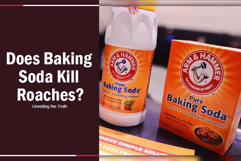 does baking soda kill roaches