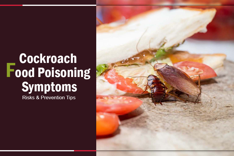 Cockroach Food Poisoning Symptoms 