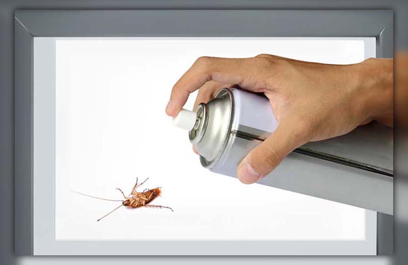 Cockroach Hard to Kill 