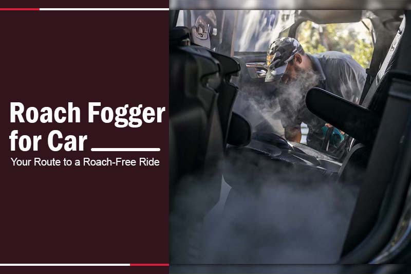 Roach Fogger for Car