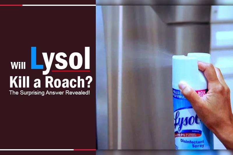 Will Lysol Kill a Roach