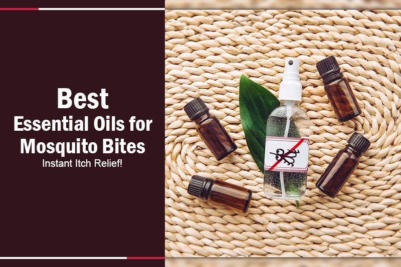 Best Essential Oils for Mosquito Bites 