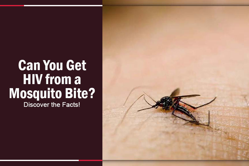 Can You Get HIV from a Mosquito Bite