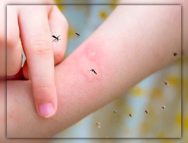 Can you get sick from mosquito bites 