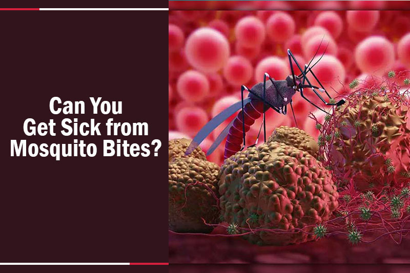 Can you get sick from mosquito bites
