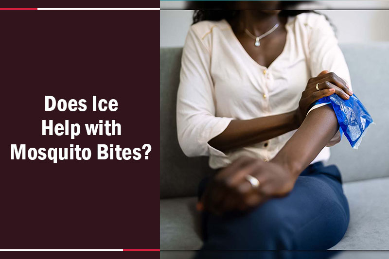 Does Ice Help with Mosquito Bites