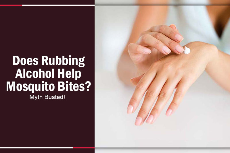 Does Rubbing Alcohol Help Mosquito Bites