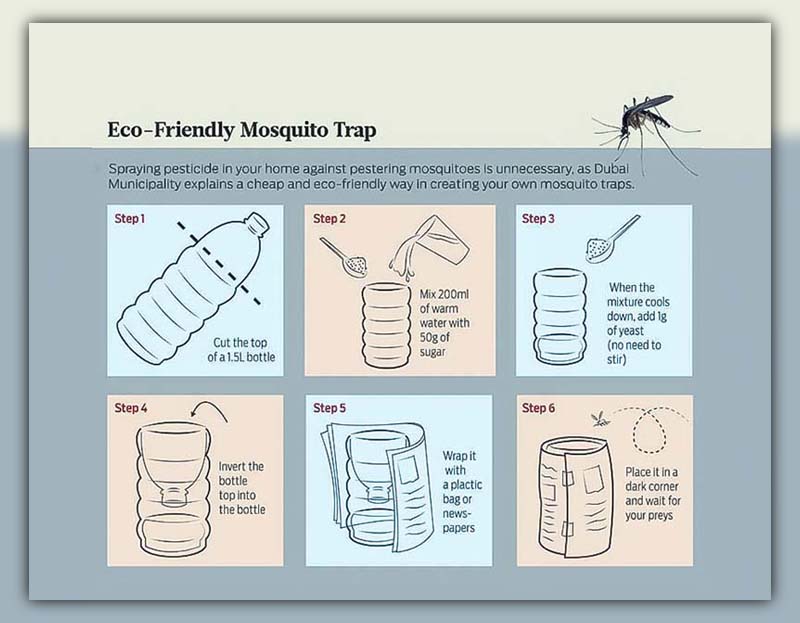 How to Get Rid of a Mosquito in Your Room