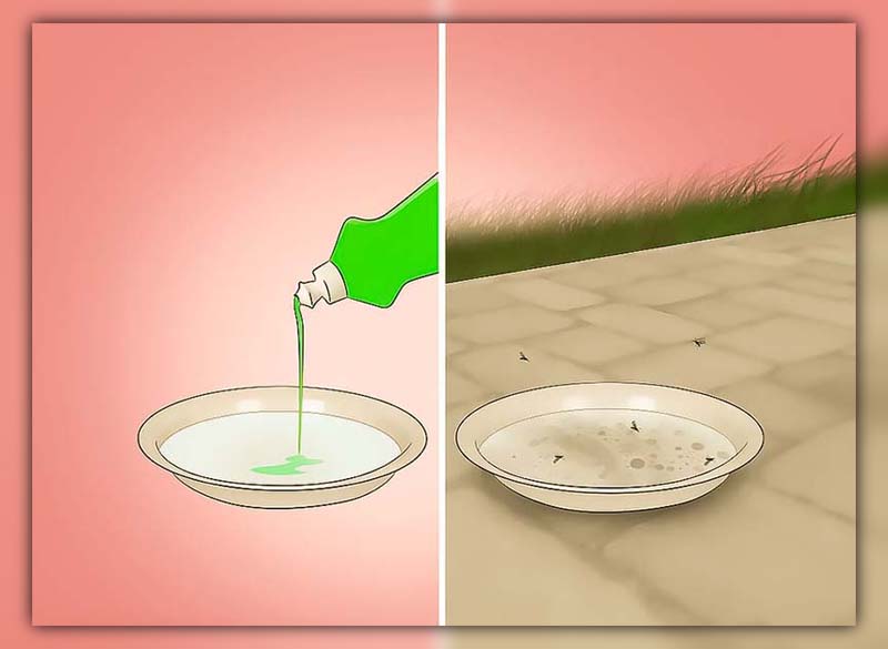 How to Get Rid of a Mosquito in Your Room 