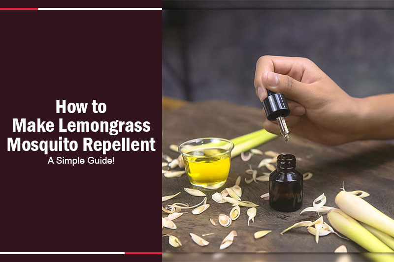 How to Make Lemongrass Mosquito Repellent 