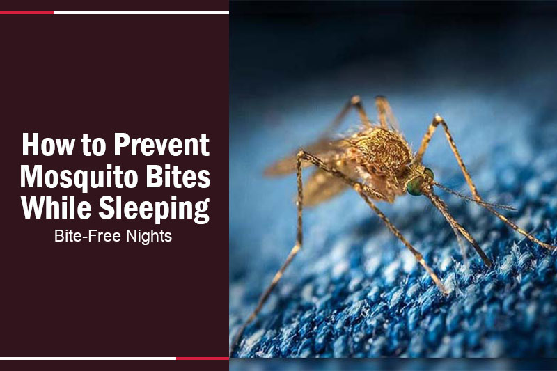 How to Prevent Mosquito Bites While Sleeping