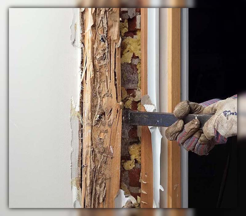 How to Spot Termite Damage 