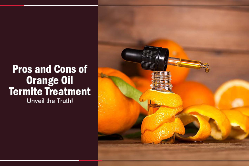 Pros and Cons of Orange Oil Termite Treatment