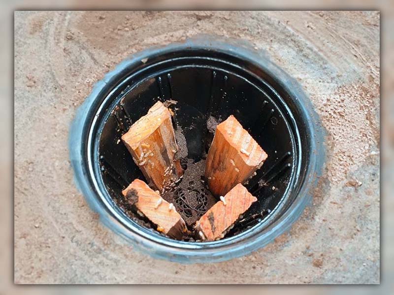 Pros and Cons of Termite Bait Stations 