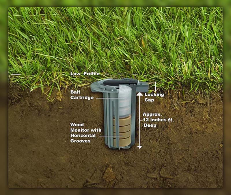 Pros and Cons of Termite Bait Stations