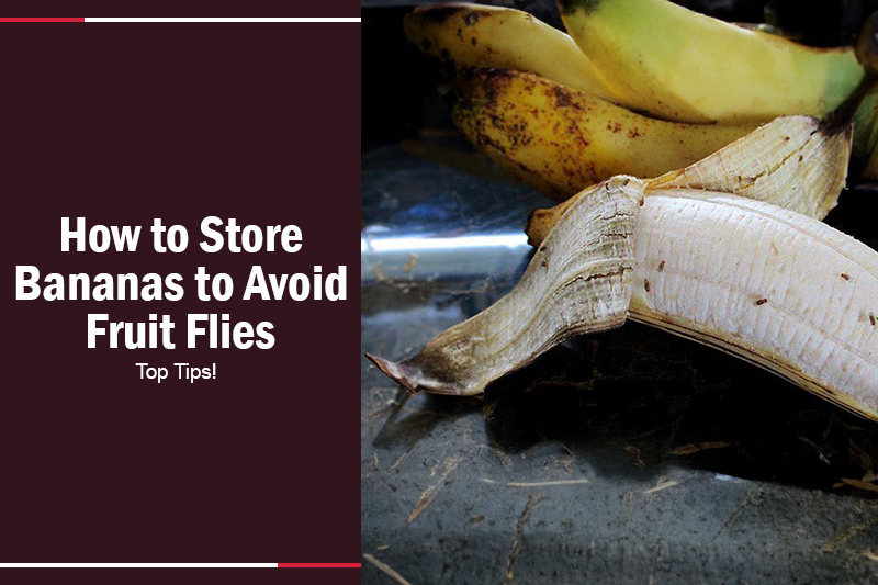 How to Store Bananas to Avoid Fruit Flies