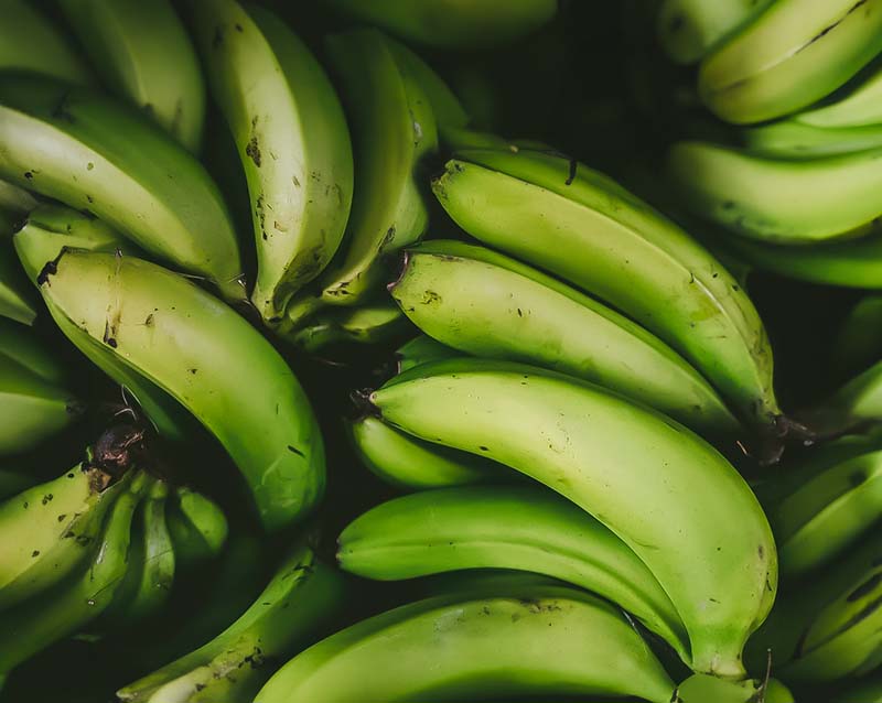 How to Store Bananas to Avoid Fruit Flies