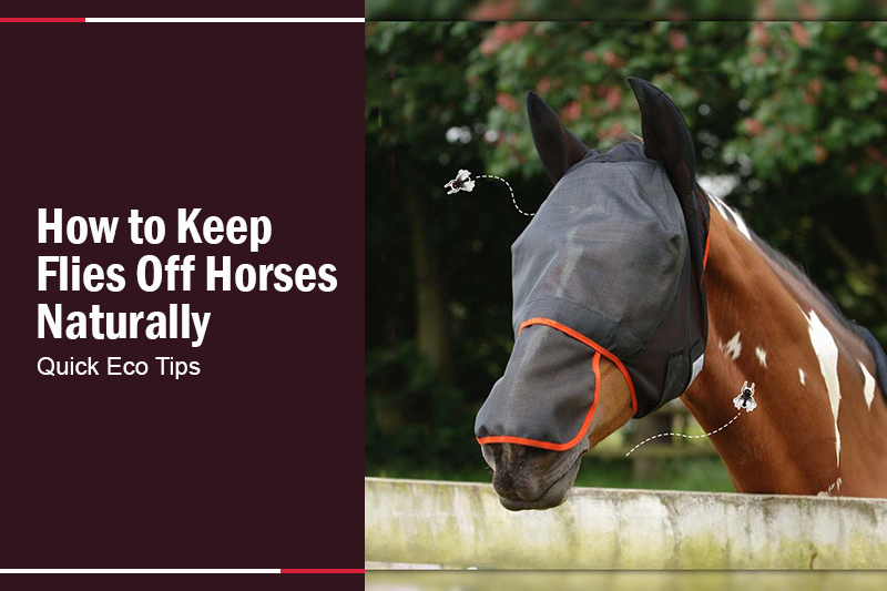 How to Keep Flies Off Horses Naturally