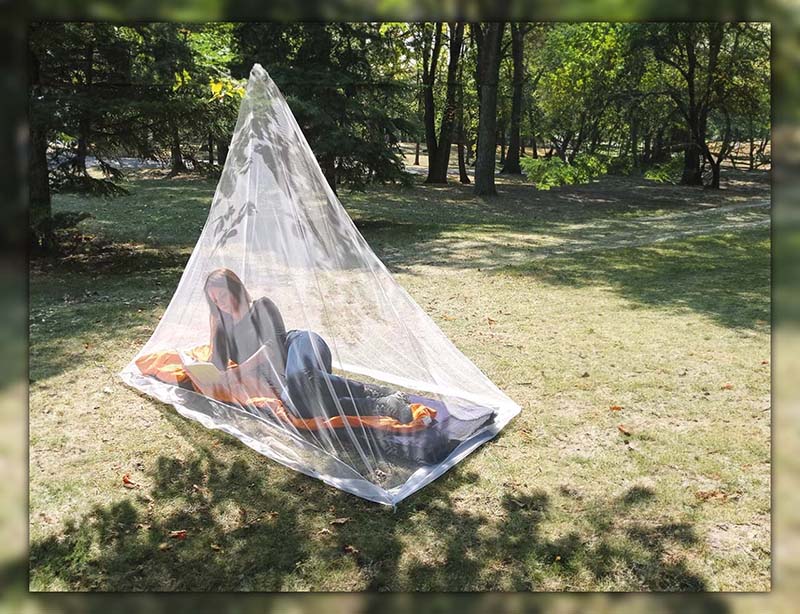 How to Get Rid of Flies While Camping 