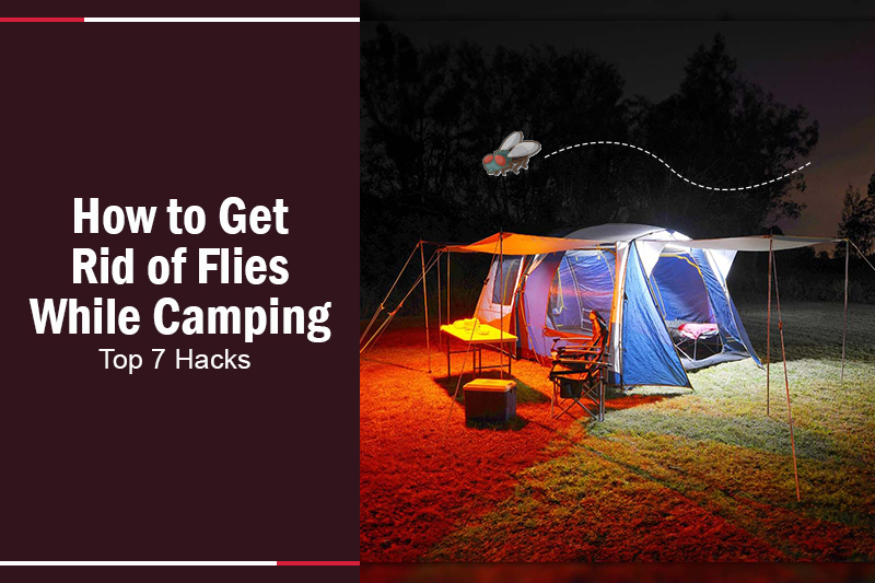How to Get Rid of Flies While Camping 