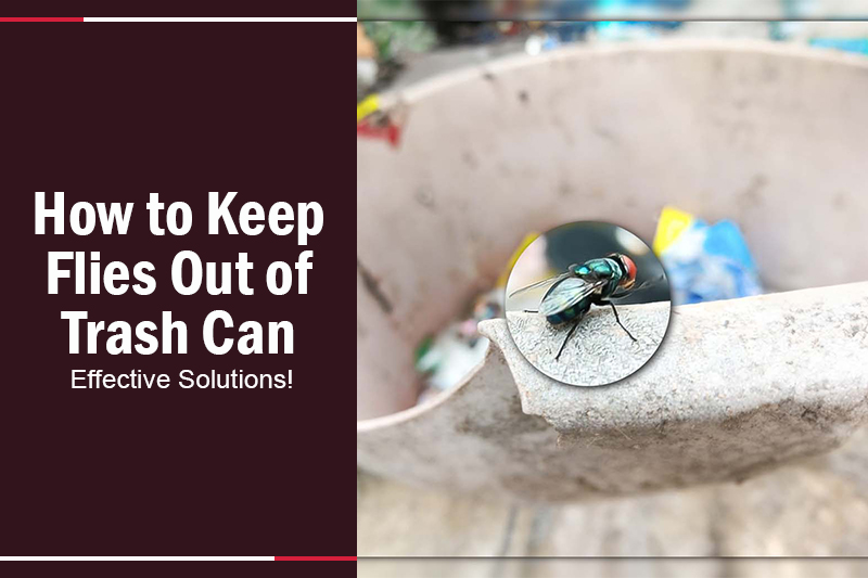 How to Keep Flies Out of Trash Can