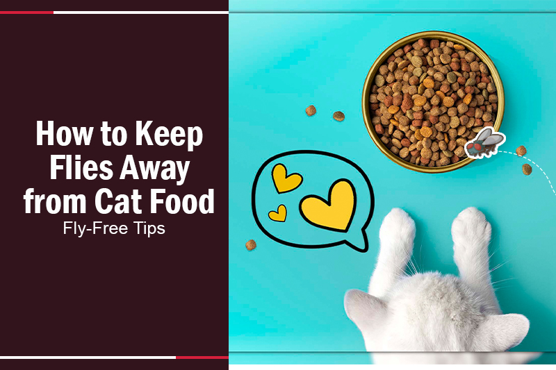 How to Keep Flies Away from Cat Food