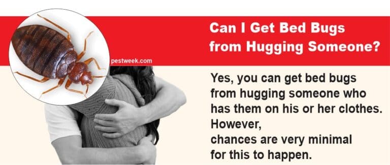 Bed Bugs from Hugging