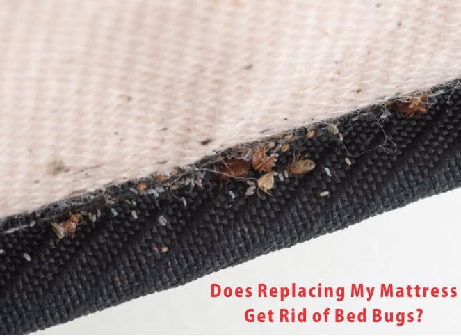 Replacing mattress to get rid of bed bugs