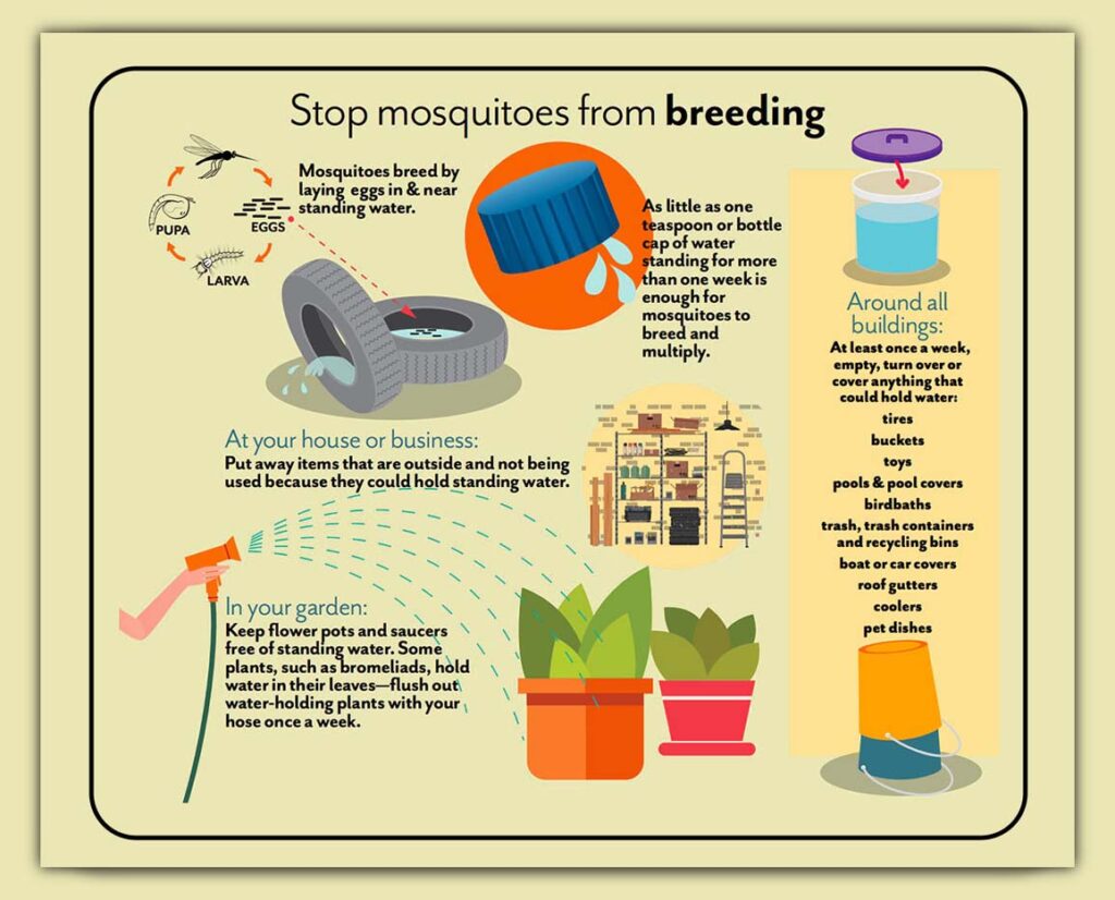 What Does a Mosquito Nest Look Like? Unveiling Secrets!